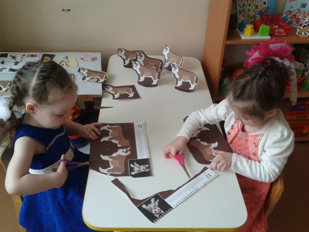 20190424_083925.jpg
