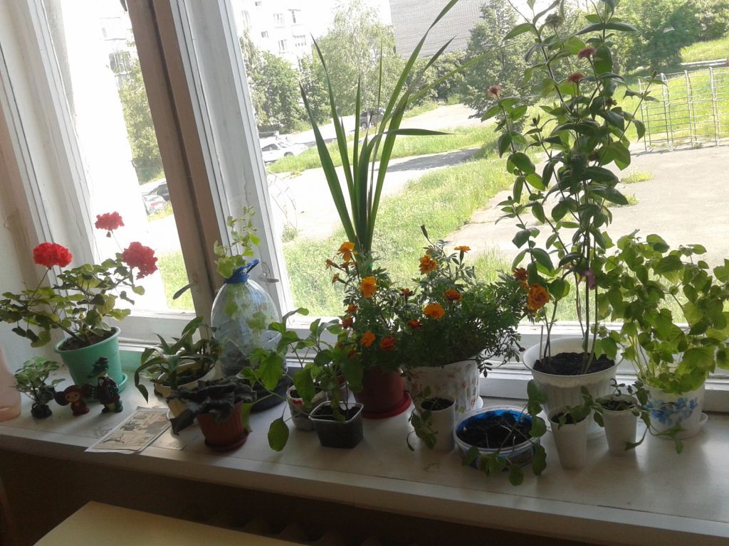 20170628_151821.jpg