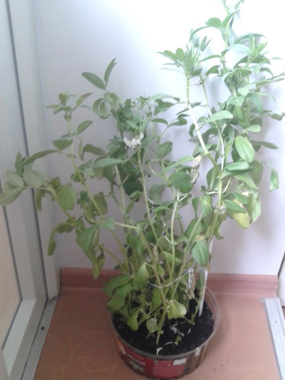 20190508_164244.jpg