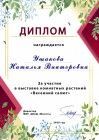 диплом участника Весенний салют май 2020.jpg