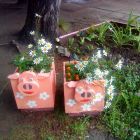 DSC01581.jpg