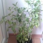 20190508_164244.jpg