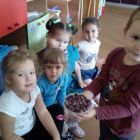 IMG_20190822_084207.jpg